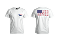 USA Fish Flag